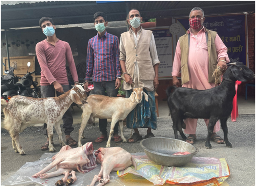 बाख्रीको मासु बिक्री गरेको आरोपमा ४ जना पक्राउ बाख्रीको मासु बिक्री गरेको आरोपमा ४ जना पक्राउ