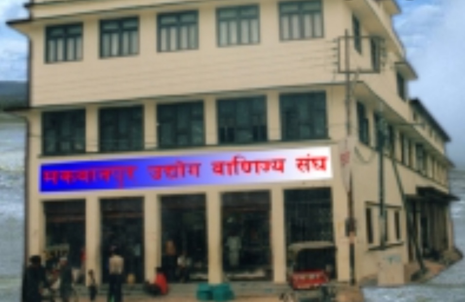 पल्पसा आइसोलेसन १९ जेठदेखि संचालन हुने