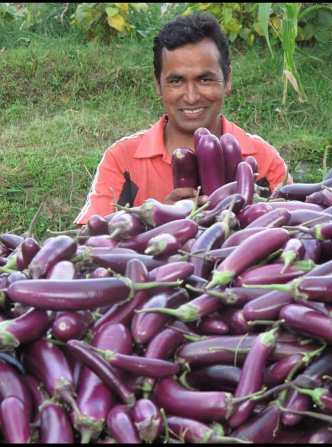 वार्षिक ७ देखि १० लाख कमाउँछु