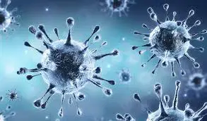 थाहामा बिहीबार ६० प्रतिशतमा संक्रमण